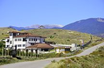 Melnik Wine Tasting tour from Sofia