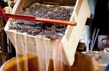 Private Wine Tour with Tastings from Eugene