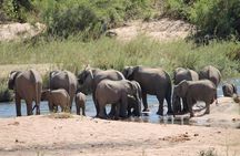 Overnight Kruger National Park Classic Camping Safari 