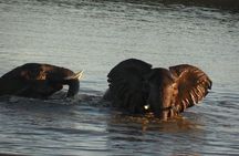 Two Days, One Night Tour: Blyde River to Kruger National Park