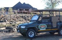 Full-Day Big 5 Safari from Hazyview