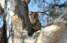 Experience a Day at Tahbilk