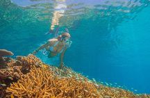 Passions of Paradise Great Barrier Reef Cruise by Catamaran