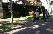 Paramaribo City Tour