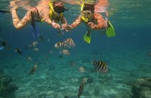 Snorkel Adventure at Cozumel! Transportation from Cancun & Playa Del Carmen
