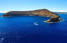 Ni'ihau and Na Pali Coast Snorkel Boat Tour