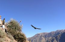 Full Day trip from Arequipa to Colca Canyon ending in Puno