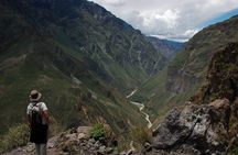 TOUR COLCA CANYON 2D - 1N (Shared Service)