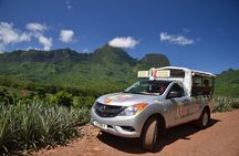 Private Morning Moorea 4WD Tour with Champagne