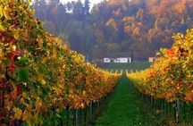 Private Wine and History Tour to Villany and Pecs from Budapest with winetasting
