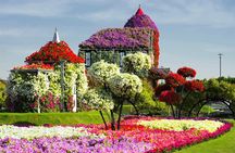 Miracle Garden and Global Village Dubai with transfers