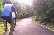 Private Half-Day National Botanic Garden Cycling Tour from Kuala Lumpur
