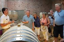 Stellenbosch Valley. Private wine tour with winemaker in Swedish or English.