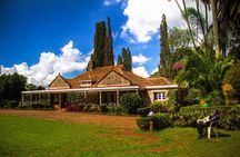 Nairobi Highlights: Karen Blixen, Beads Factory & Giraffe Center Day Tour