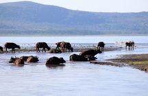 2 Day Tour Lake Nakuru, Hell' s Gate & Lake Naivasha From Nairobi