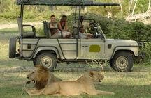 5Days Tanzania Camping Safari to Lake Manyara Serengeti And Ngorongoro Crater from Arusha