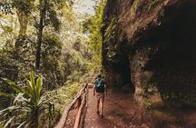 Nairobi Day Tour to Karura Forest Hike, Trail Bike & Nature Walk