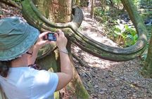 Ecological walk in sao paulo