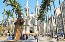 São Paulo 6-Hour Private City Tour