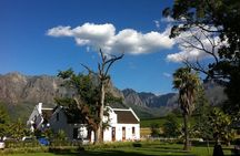 Full-Day Whale Watching and Wine Tasting Tour from Cape Town