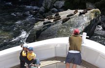 Cruise Milford NZ Small Boutique Cruise Experience