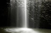 Natural Bridge Glow Worm Night Tour from Gold Coast