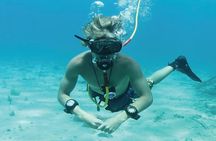 Punta Cana Party Cruise with Snorkeling, Hooka Diving and Parasailing