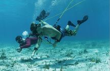 Private Catamaran with Parasailing / Snorkeling / Hooka Diving