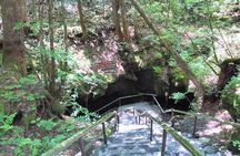 Mt. Fuji Highlight Private tour from Kawaguchiko (public transportation)