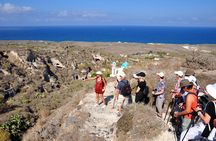 Thirassia Island: 6hr Private Tour with Lunch from Santorini