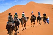Luxury Private 4-Day Camel Trekking and Kasbah Trail from Marrakech