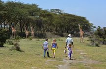 Day Trip to Lake Nakuru from Nairobi