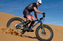 Fat Bike Desert Tour