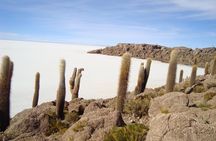 2-Days Uyuni Salt Flats including Laguna Colorada