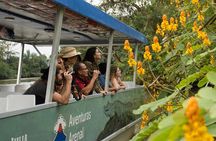 Day Trip to Caño Negro Including Río Frio Boat Experience from La Fortuna