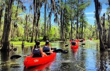Small-Group Manchac Swamp Kayak Tour