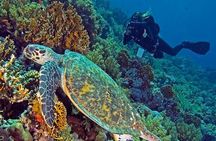 Hurghada Daily Scuba Dive Trip