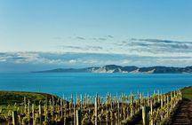 Picton CRUISE SHIP Shore Excursion Marlborough Wine Tour 