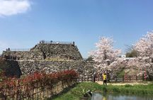 Yamato-Koriyama Castle and Goldfish Small-Group Tour from Nara