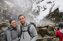 Explore Jigokudani Snow Monkey Park with a Local Guide