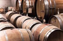 Full-Day Boutique Winery and Wine Tasting Tour from Fez