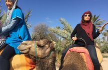 Camel Ride Tour in the Palm Grove of Marrakech