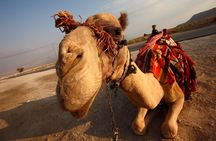 Private Tour from Marrakech to Merzouga Dunes and Fez