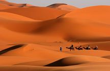 3-Day Desert Tour from Marrakech to Fez