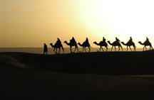 5-Day Private Desert Tour from Fez