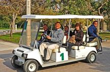 Giza Pyramids, the Sphinx, Islamic & Coptic Cairo Tour
