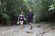 Rainforest Trek to Natural Pool - Taino Bay & Amber Cove ports