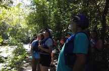 Rainforest Trek to Natural Pool - Taino Bay & Amber Cove ports