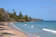 Tobago Island Tour