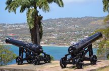 Tobago Island Tour